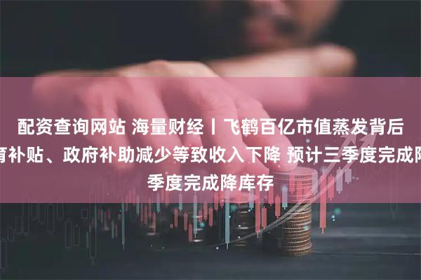 配资查询网站 海量财经丨飞鹤百亿市值蒸发背后：生育补贴、政府补助减少等致收入下降 预计三季度完成降库存