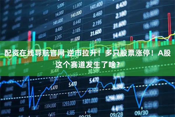 配资在线导航官网 逆市拉升！多只股票涨停！A股这个赛道发生了啥？